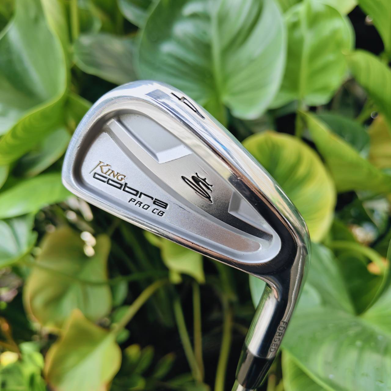 ชุดเหล็ก KING COBRA PRO CB FORGED ชดเชยความผิดพลาดได้ดีมากตามสไตล์ของแบรนด์ Cobra