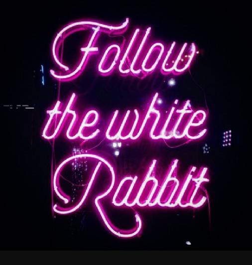 ป้ายไฟดัด - Follow the white Rabbit.