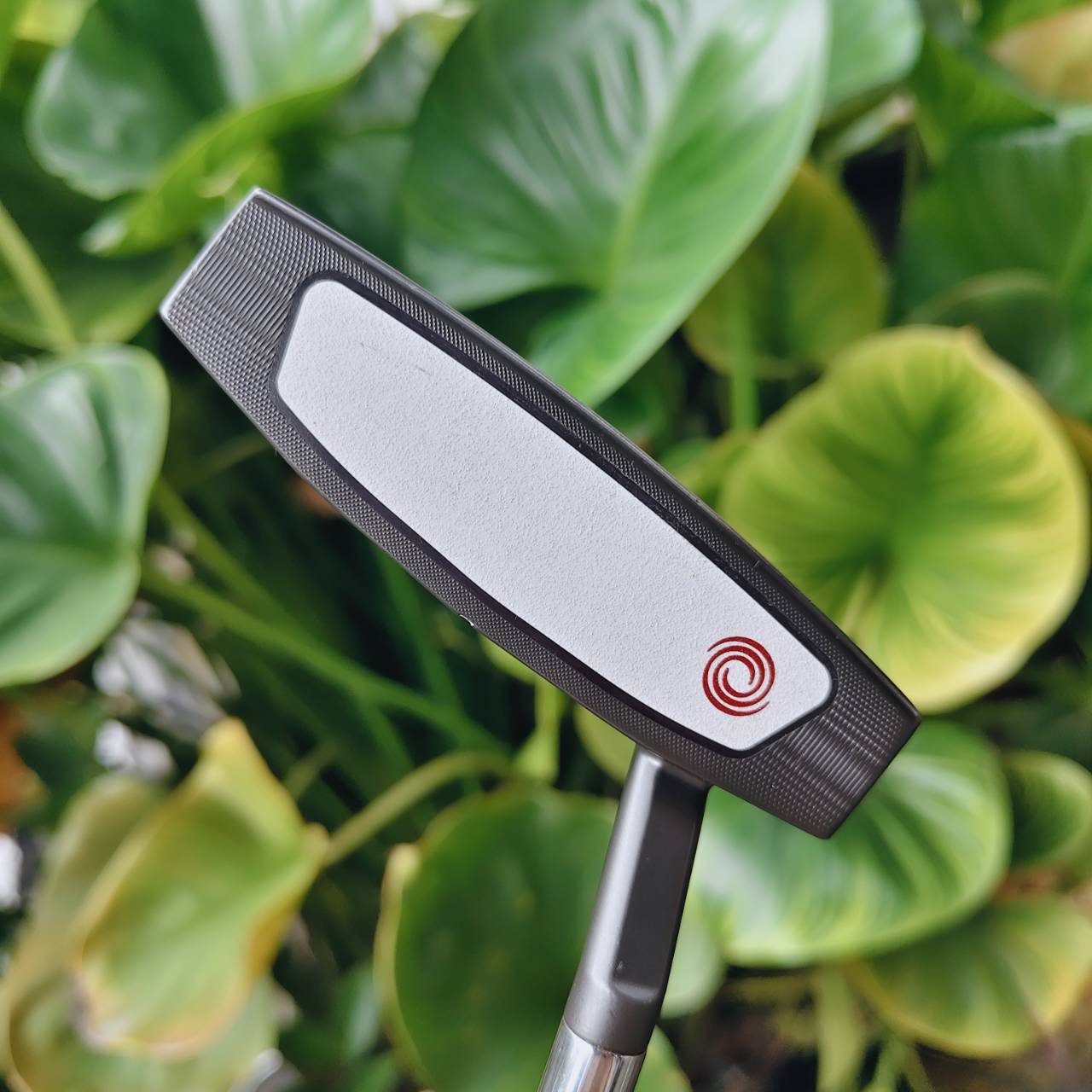 ถนัดซ้าย (Left-Handed) -- ODYSSEY ELEVEN Tour Lined