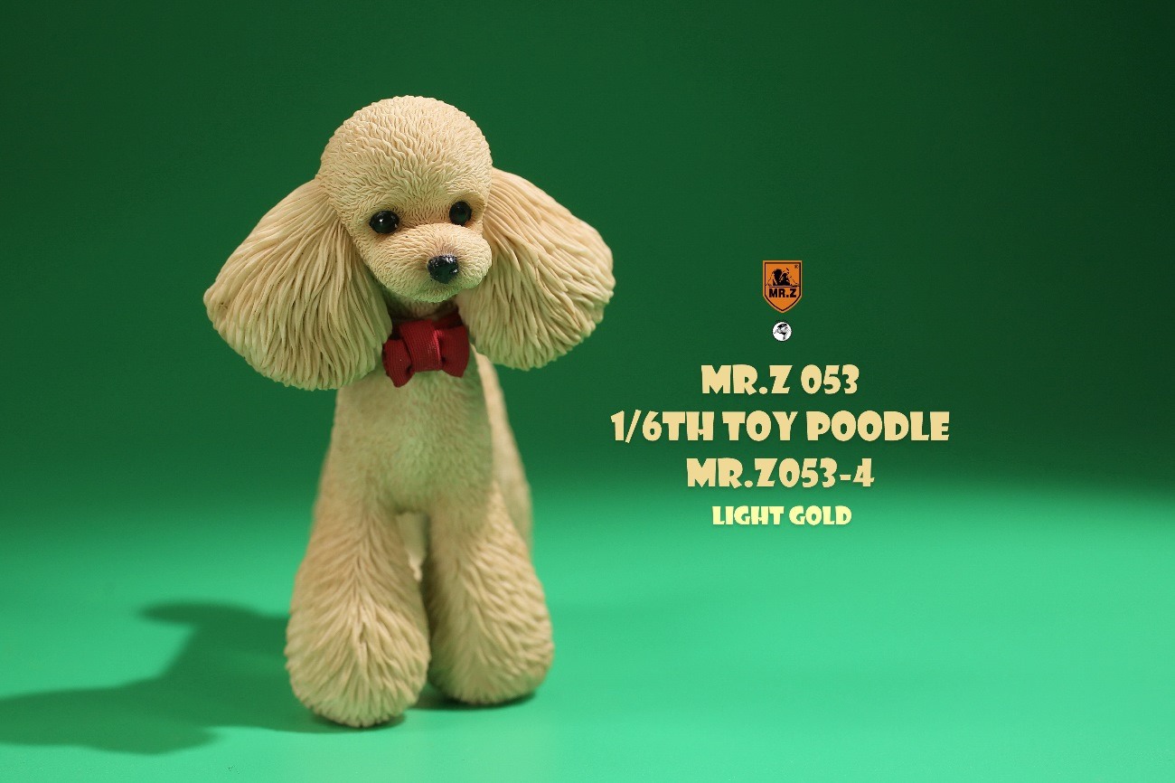 [สั่งจอง]Mr.Z MRZ053 animal model 1/6 : Toy Poodle
