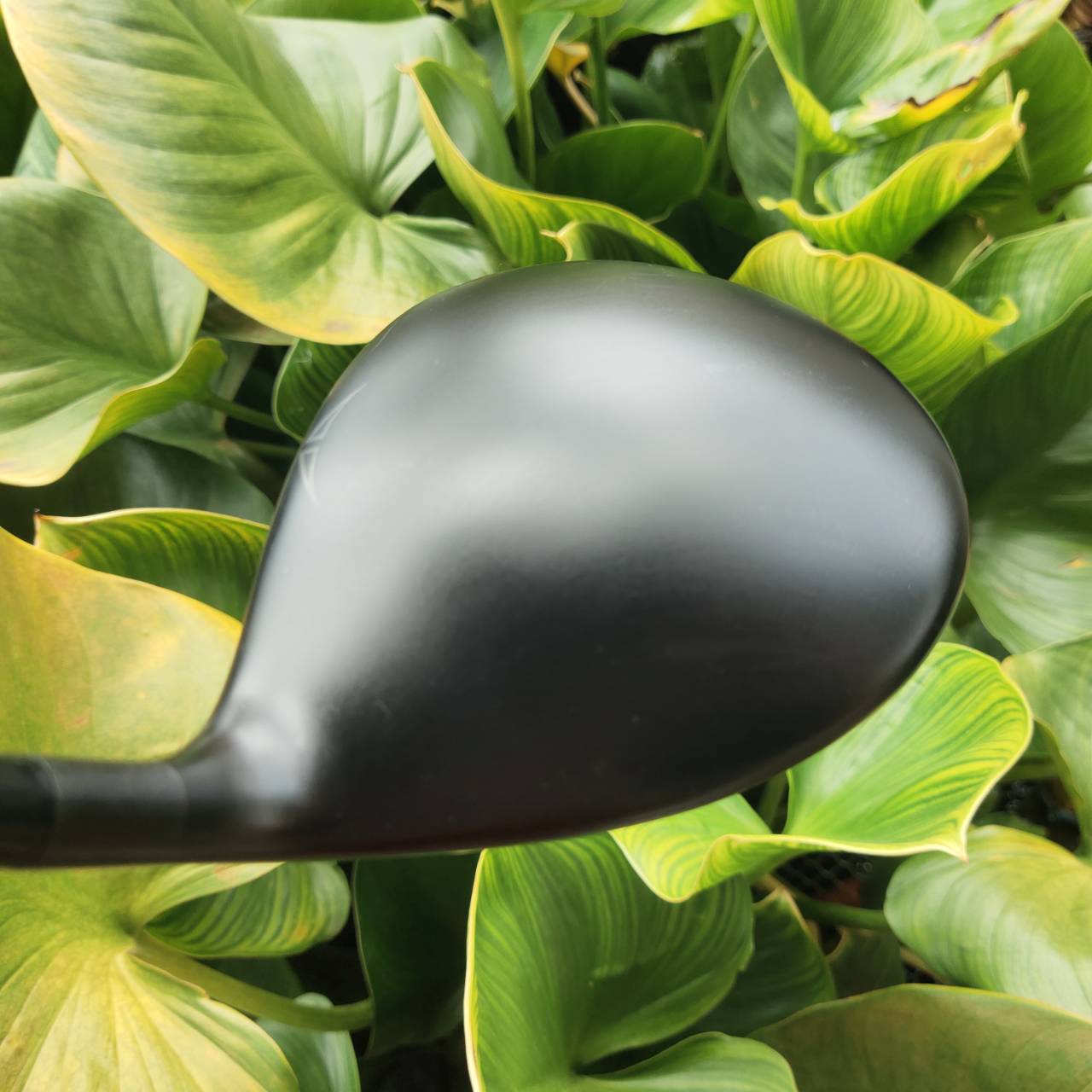 Driver PING i20 – Loft 10.5° ก้าน Project X 6.0 (Stiff) ตีง่าย ลูกลอยดี ควบคุมทิศทางได้ดี