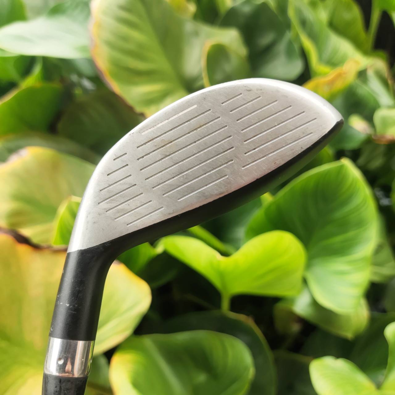 NIKE SUMO2 U2 – Loft 17° | ก้าน DIAMANA S ยูทิลิตี้ทรงเหลี่ยมรุ่นดัง! ตีง่าย หน้าเด้ง ลูกพุ่งเร็ว!