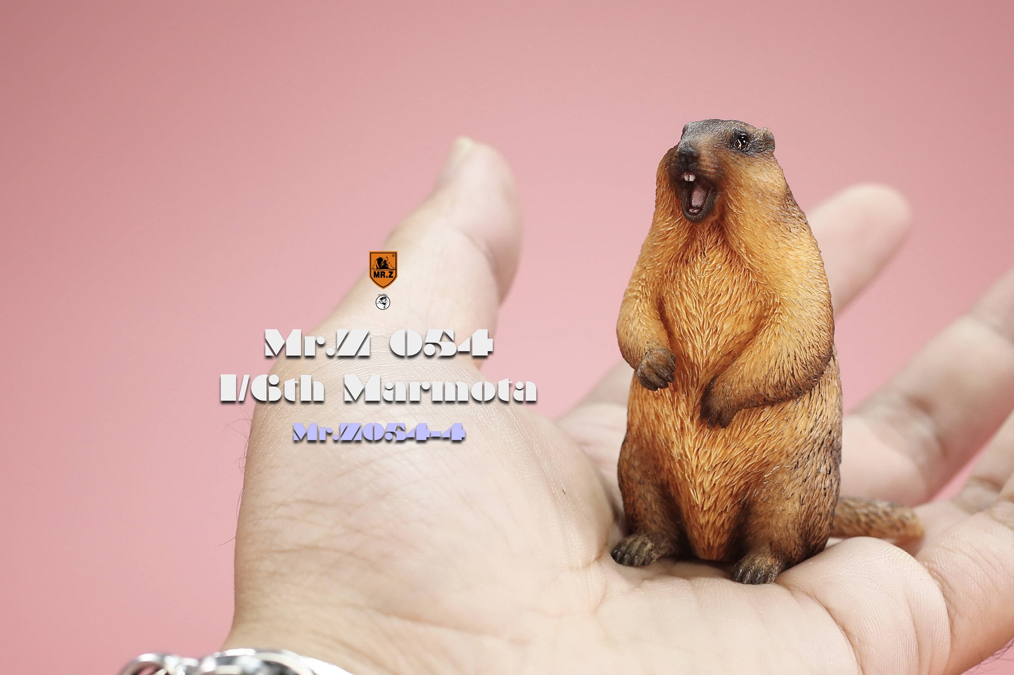 [สั่งจอง]Mr.Z MRZ054 1/6 : Animal Model - Marmota
