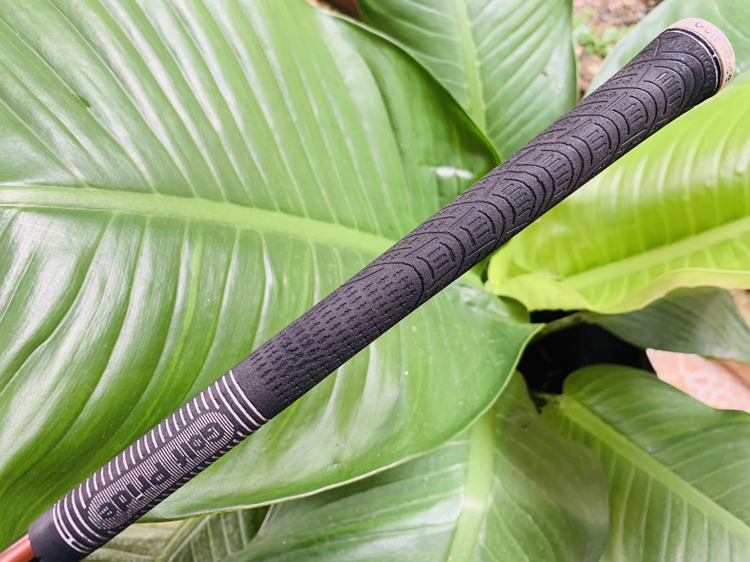 MARUMAN DRIVER 1W Golf MAJESTY Prestigio Gold Premium พิเศษ สำหรับ ท่านที่ถนัด " มือซ้าย " หายากมาก