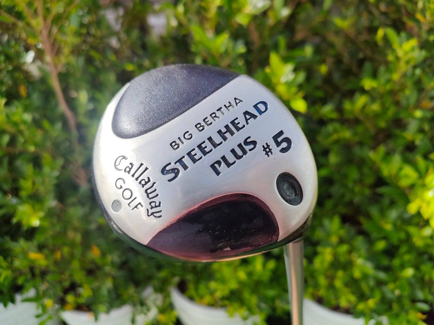 FW5 STEELHEAD PLUS