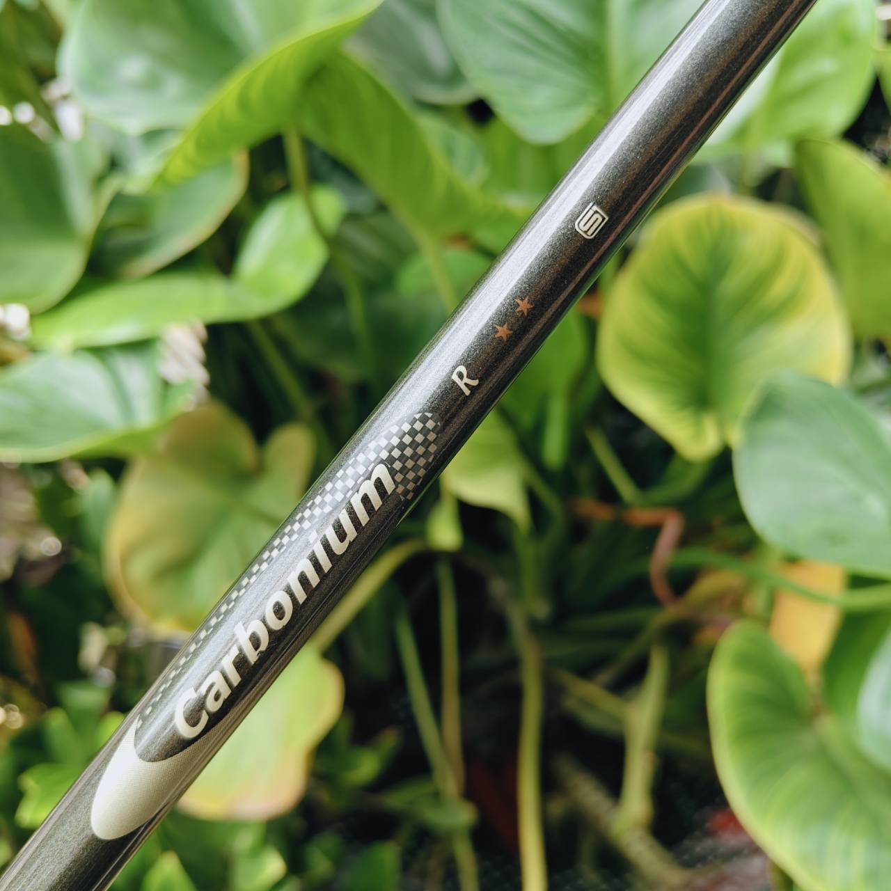 HONMA TWIN MARK 808RF CARBONIUM ⭐️⭐️ ก้าน 2 ดาว FLEX R