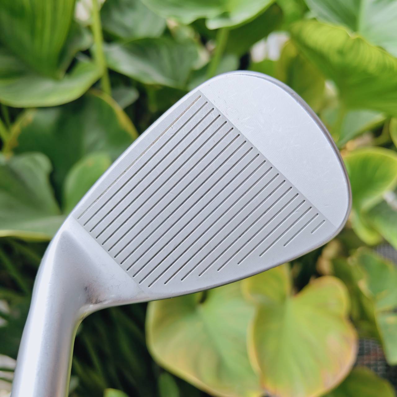 ชุดเหล็ก PING i230 พัฒนาต่อยอด เพิ่มรูปลักษณ์และเทคโนโลยีใหม่ เป็นที่นิยมอย่างมากในทัวร์ใหญ่