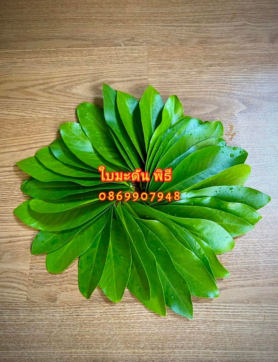 ใบไม้มงคล (พิธี)