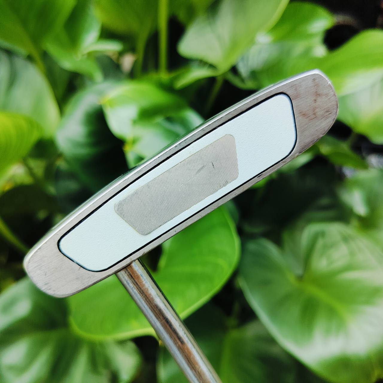 PUTTER 3 - BALL ☆ AN EAT-5227 ความยาว 34 นิ้ว หน้า STEEL สุดเกาะไลน์ เป็นพัตเตอร์ที่ผลิตจากญี่ปุ่น ที่คุณภาพสูงมาก ไม้กอล์ฟพรีเมี่ยมมือสอง ของแท้ By NakaraLuxurious