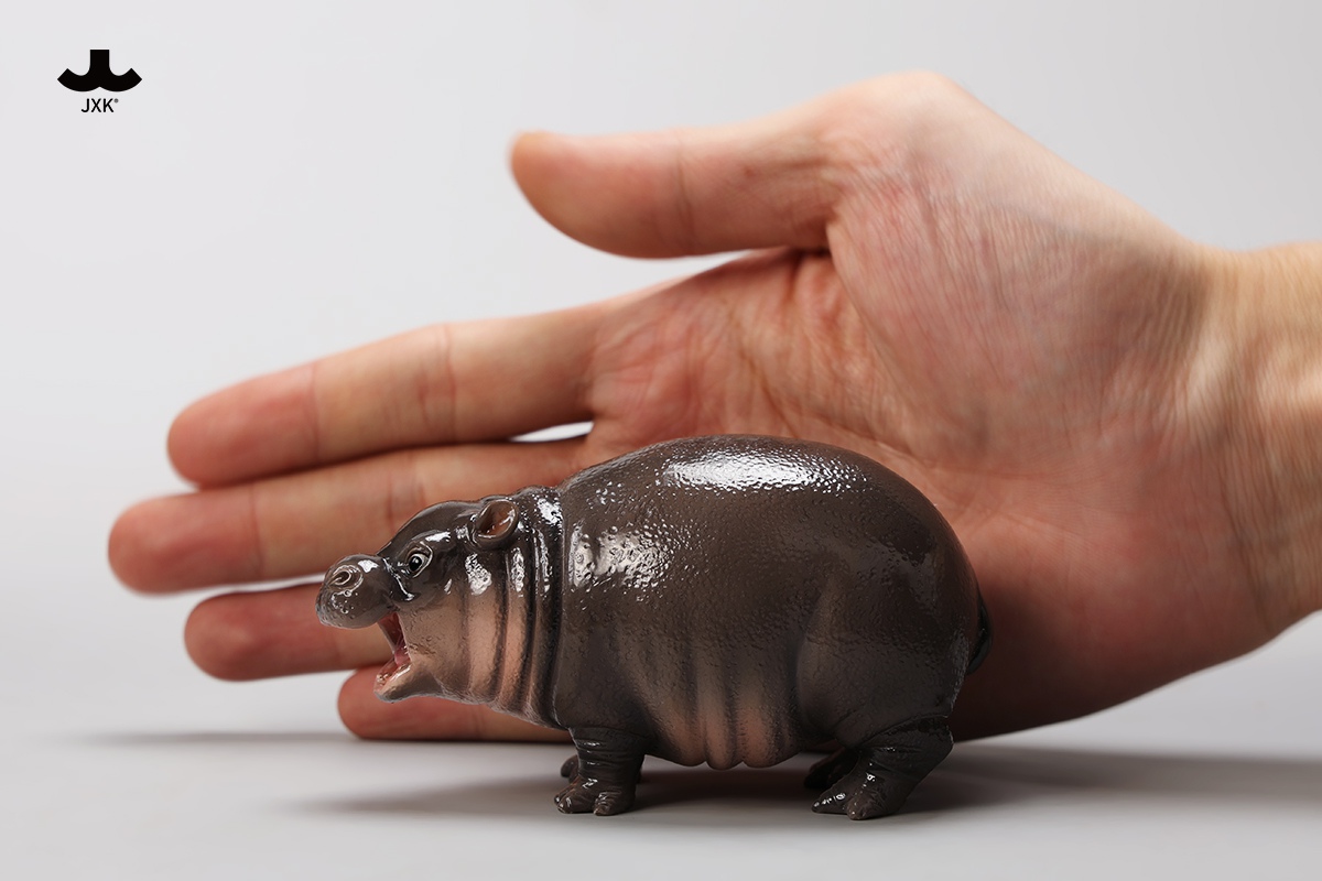 [พร้อมส่ง] JXK JXK256 1/6 : Baby Hippo Figurine