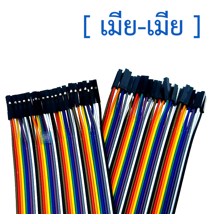 Dupont Jumper 40P color wire 31cm pure copper [male-male, male-female, female-female]