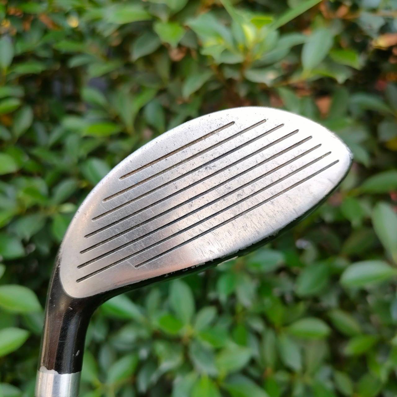 FW5 WILSON KILLER WHALE OVERSIZE องศา 20 ก้าน KILLER WHALE FLEX R ** กระดองมีรอยตำหนิ มีรูปให้ชมค่ะ **