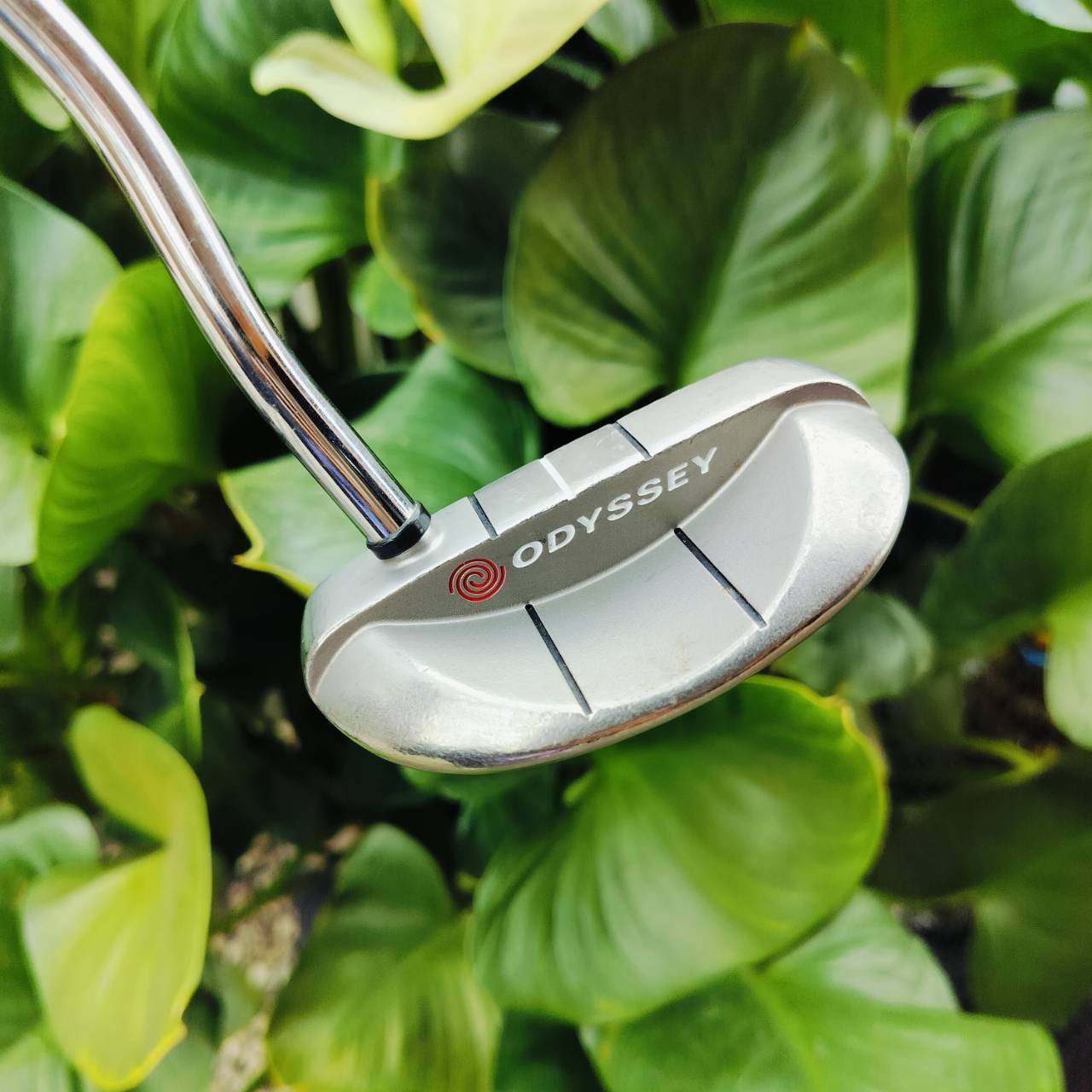 PUTTER ODYSSEY ROSSIE WHITE STEEL ยาว 34 นิ้ว รุ่นเป็นหน้า MILLED มีลวดลาย เพื่อช่วยให้ลูกหมุนเกาะไลน์ยิ่งขึ้น ไม้กอล์ฟพรีเมี่ยมมือสอง ของแท้ By NakaraLuxurious