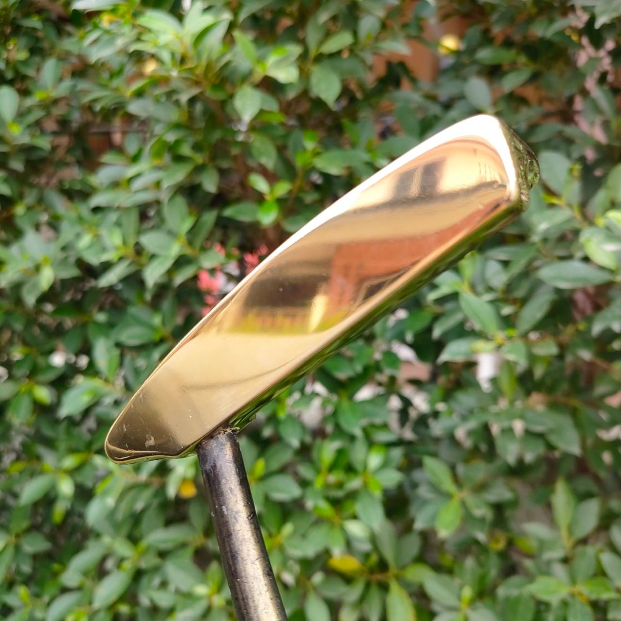 PUTTER HONMA CB8001 ความยาว 34 นิ้ว HIRO HONMA พรีเมี่ยมขีดสุด MADE IN JAPAN ราคาพุ่งสุดขีด ไล่หาเก็บกันครับ