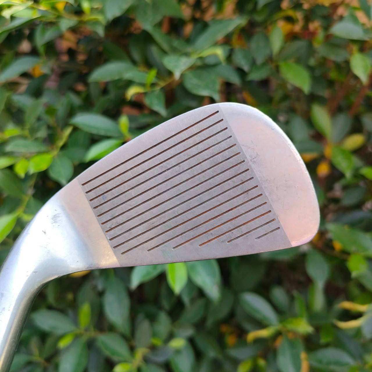 เหล็ก7 WILSON BLUE RIDGE ก้าน MATCHER FLEX R เหล็กคม และมี CAVITY