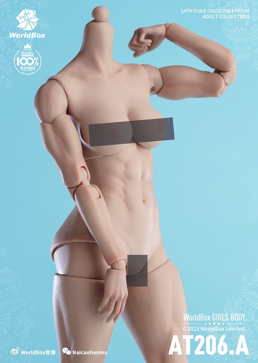 [สั่งจอง]Worldbox 1/6 : Girls Body