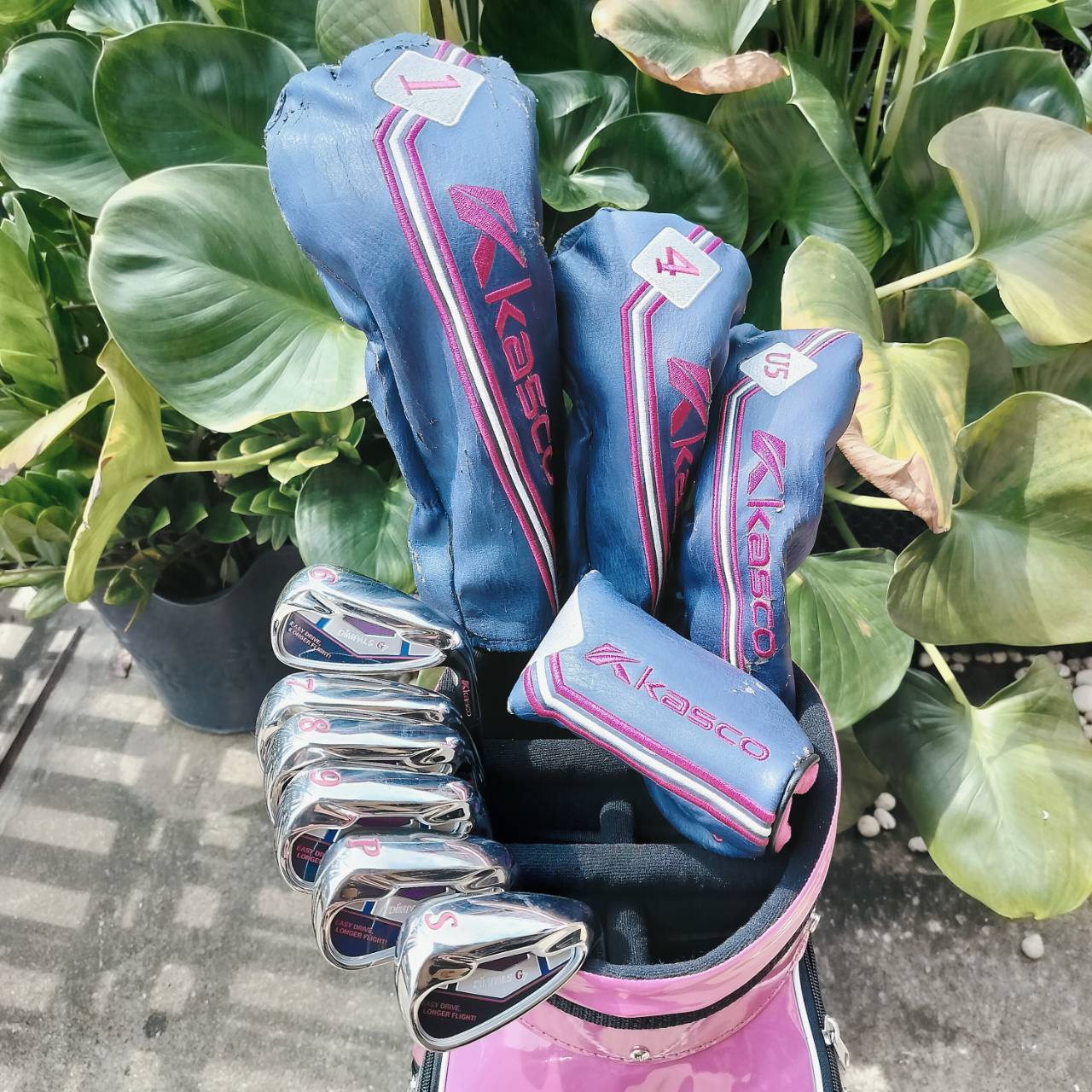 SET KASCO DIMPALS G7 LADY สภาพสวยนางฟ้า ชุดกอล์ฟพรีเมี่ยมญี่ปุ่น ก้านเบา ถุงกอล์ฟสวยมาก ไม้กอล์ฟพรีเมี่ยมมือสอง By NakaraLuxurious