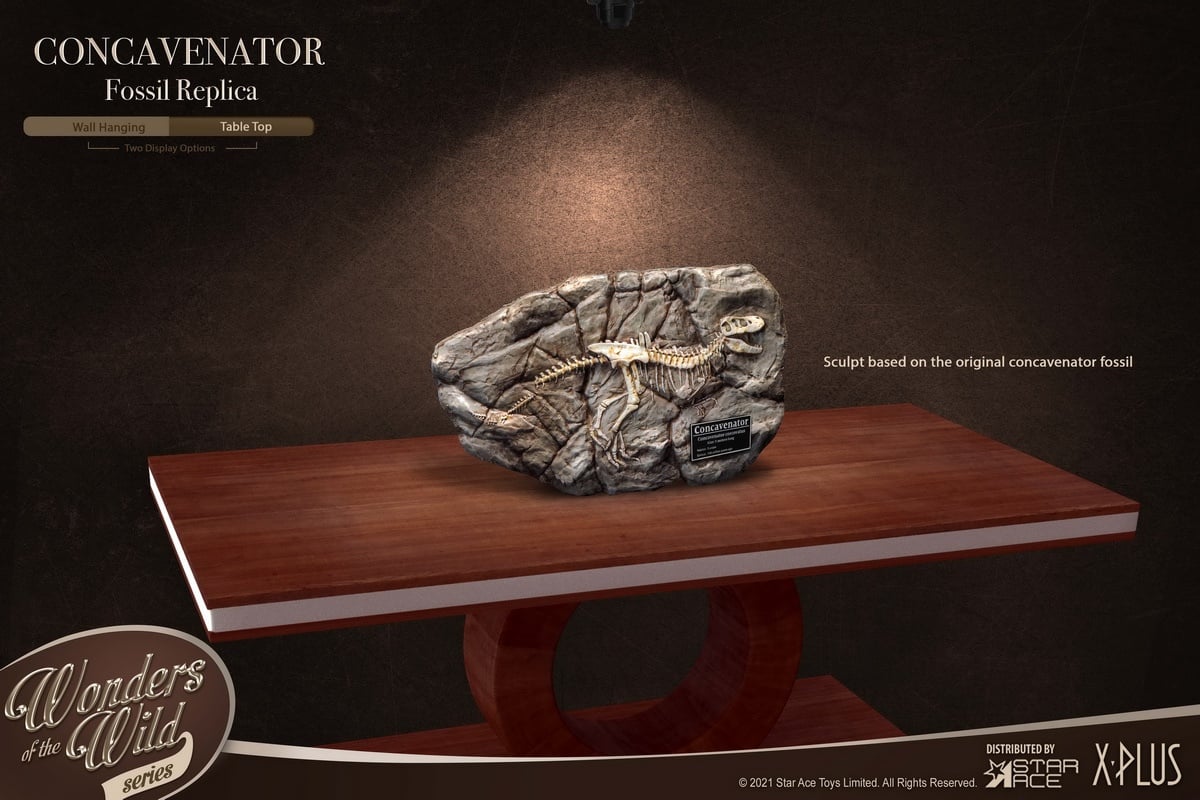 [สั่งจอง] X-Plus / STAR ACE SA5002 : WONDER WILD series Concavenator Statue