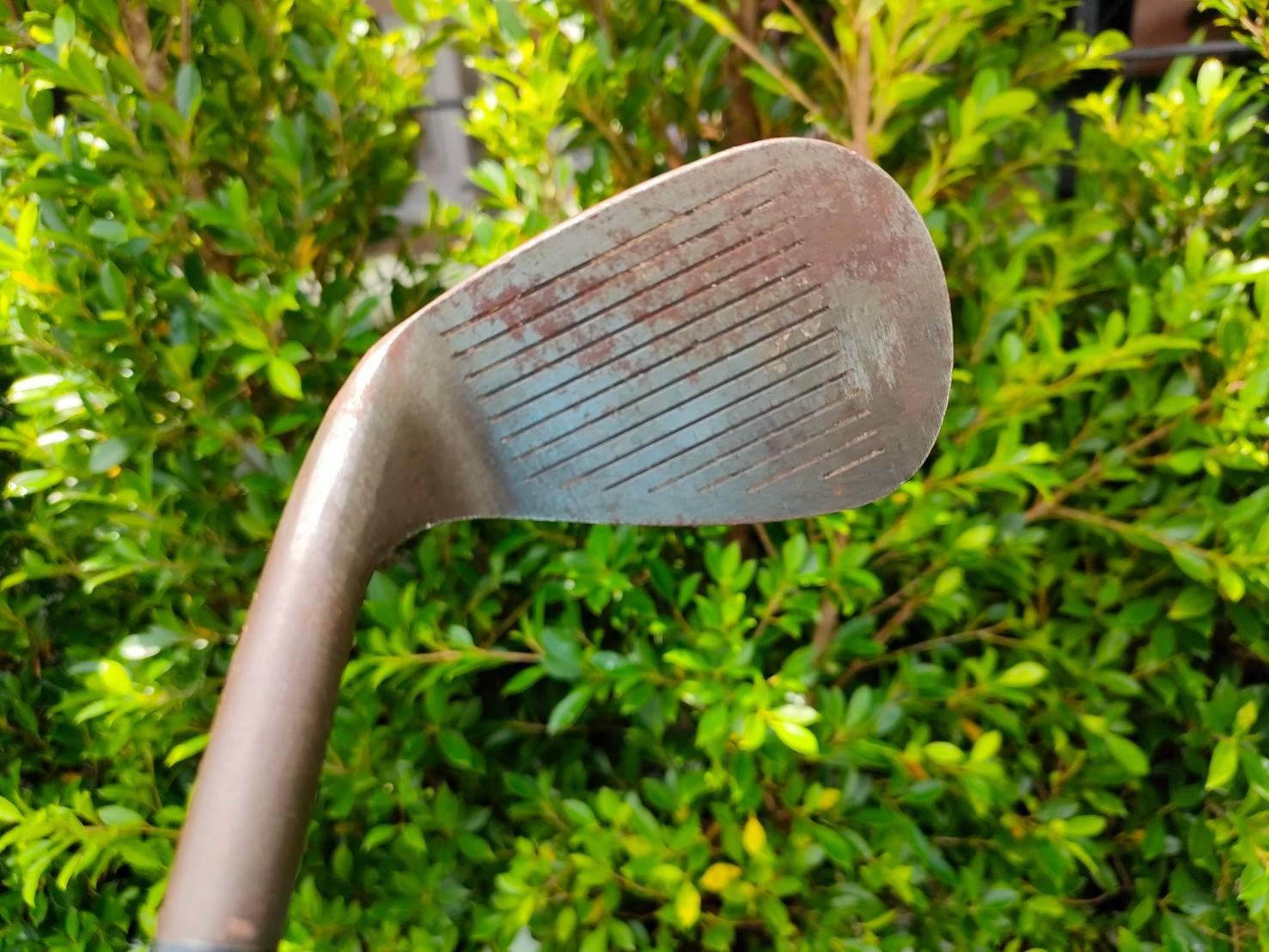 WEDGE 53 IKASU BLACK LIMITED EDITION