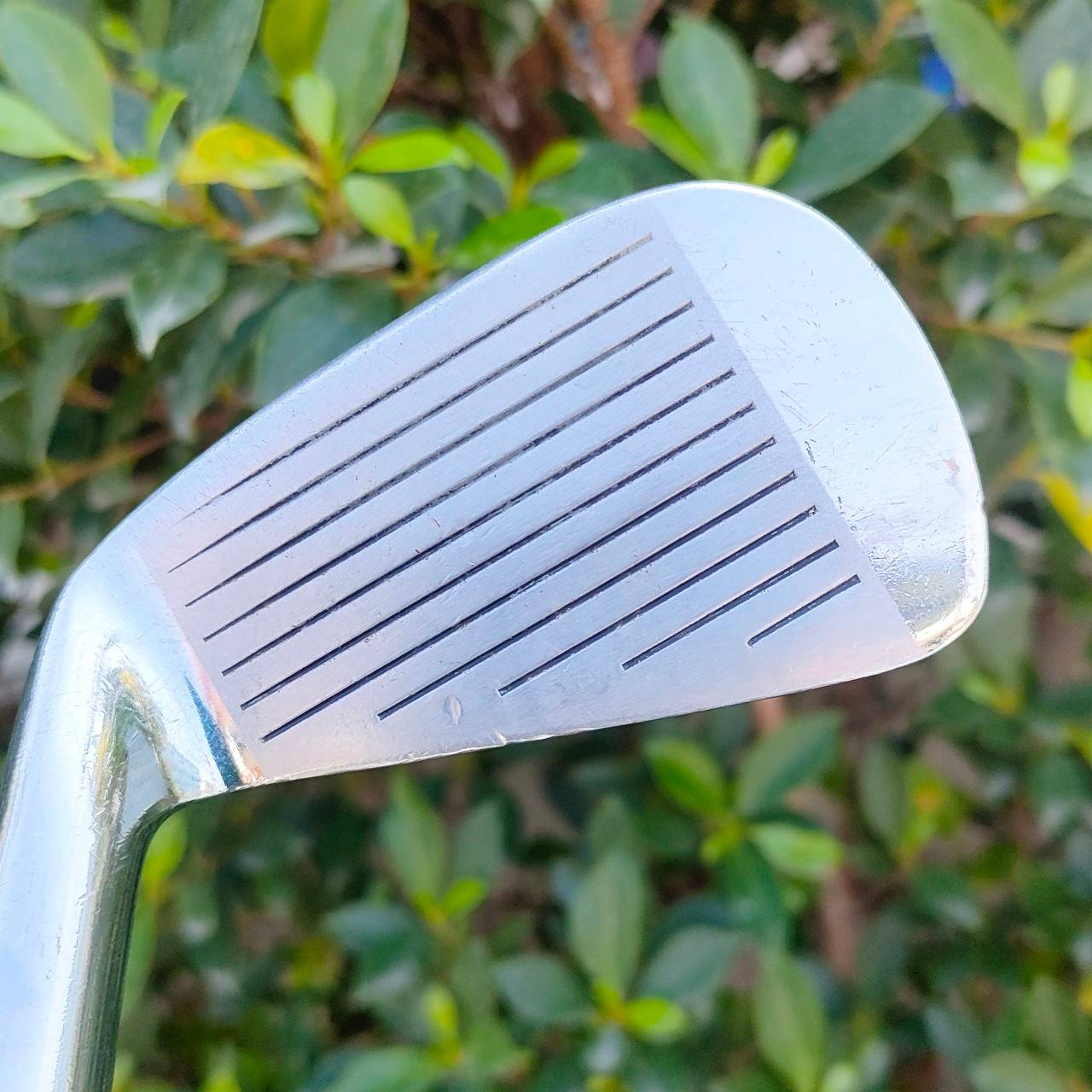 ชุดเหล็ก TITLELIST TOUR MODEL มีเหล็ก 4-9 เเละ PW ก้าน TRUE TEMPER AMIC เหล็ก FORGED สุดพรีเมี่ยม