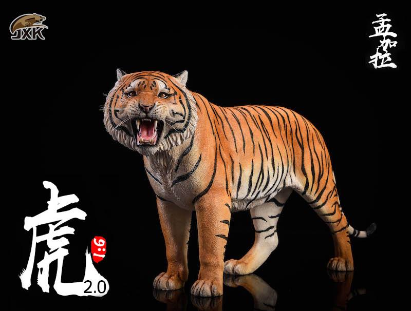 [สั่งจอง]JXK.Studio 1/6 JXK020A yellow Bengal tiger & JXK020B white Bengal tiger
