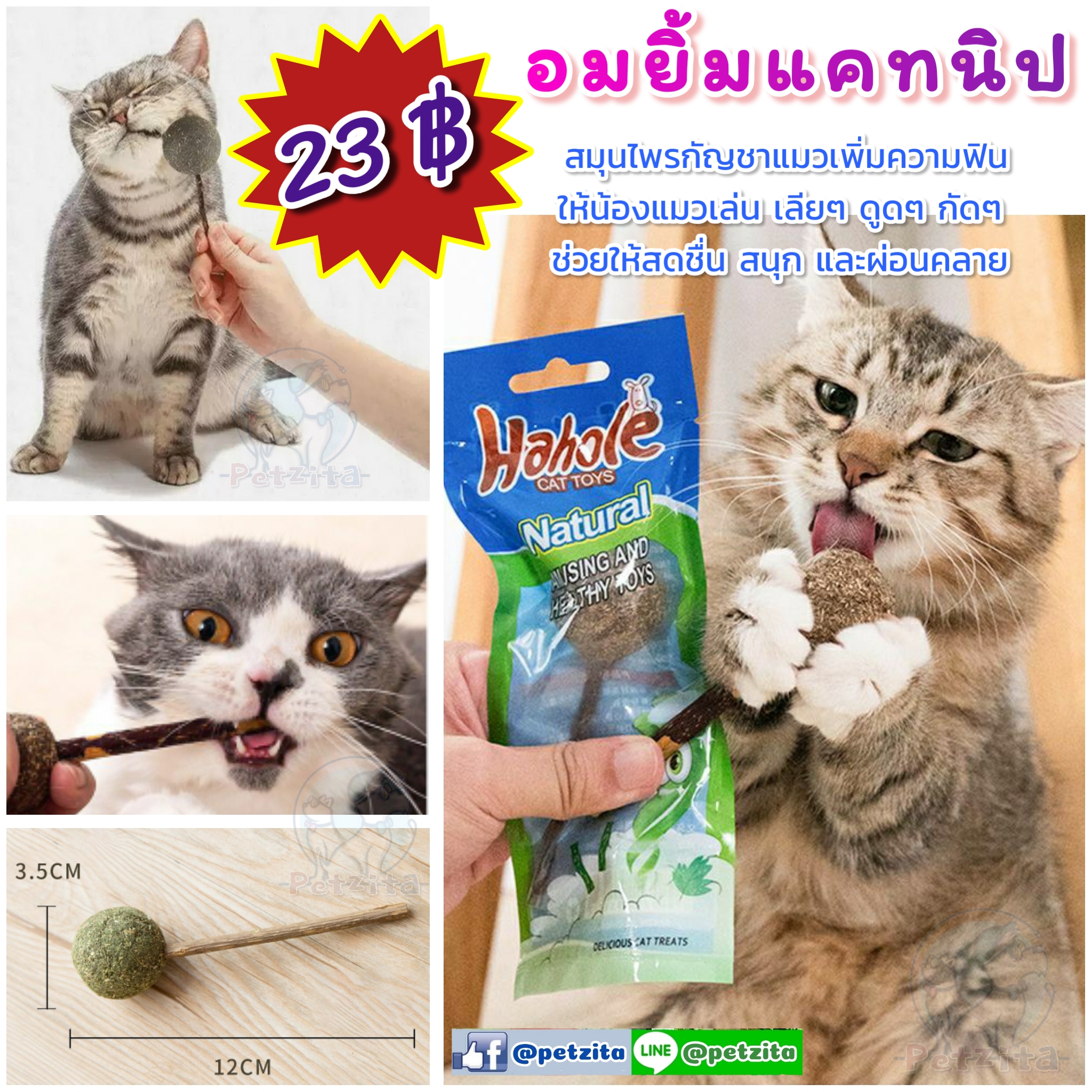 🇹🇭พร้อมส่ง 🍭🍭🍭 อมยิ้มแคทนิป กั ญ ช า แ ม ว ฟินๆ