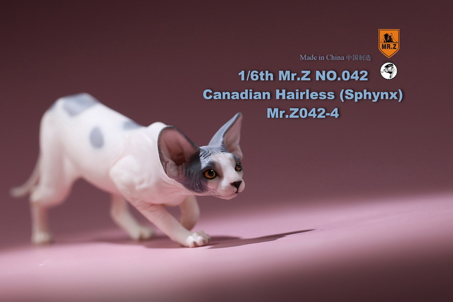 [สั่งจอง]แมวสฟิงก์ แมวน้อยขนกลับด้าน 1/6 Mr. Z Animal Model No.42: 1/6th Canadian Hairless (Sphynx)