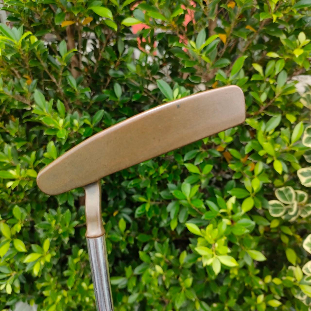 PUTTER PING ZING2 วัสดุ Beryllium Copper ก้าน PING ความยาว 34 นิ้ว