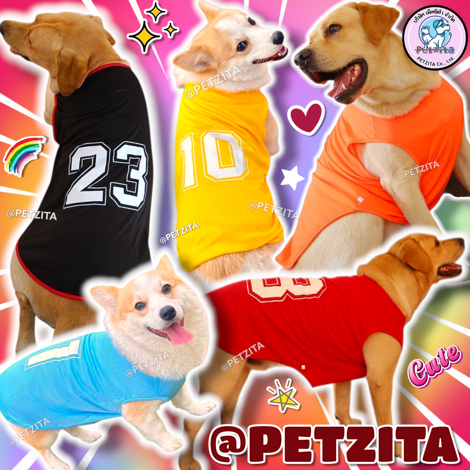 🇹🇭พร้อมส่ง🇹🇭💕🌈🦮 BIG SIZE เสื้อแขนกุดแฟชั่นตัวเลขสีสดใส หมาอ้วน หมาใหญ่ สุนัขพันธุ์กลาง ถึง สุนัขพันธุ์ใหญ่