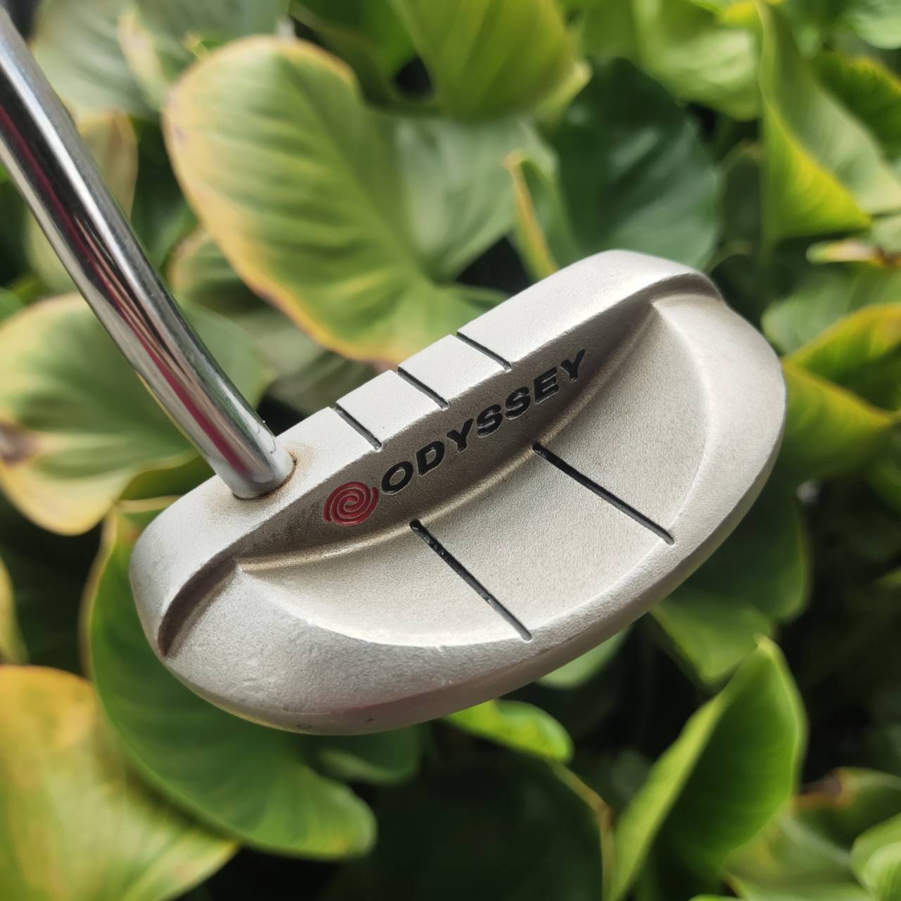 PUTTER ODYSSEY DUAL FORCE ROSSIE II รุ่นหน้าดำทั้งนุ่มและเกาะไลน์มาก รุ่นนี้ยอดนิยมมาก