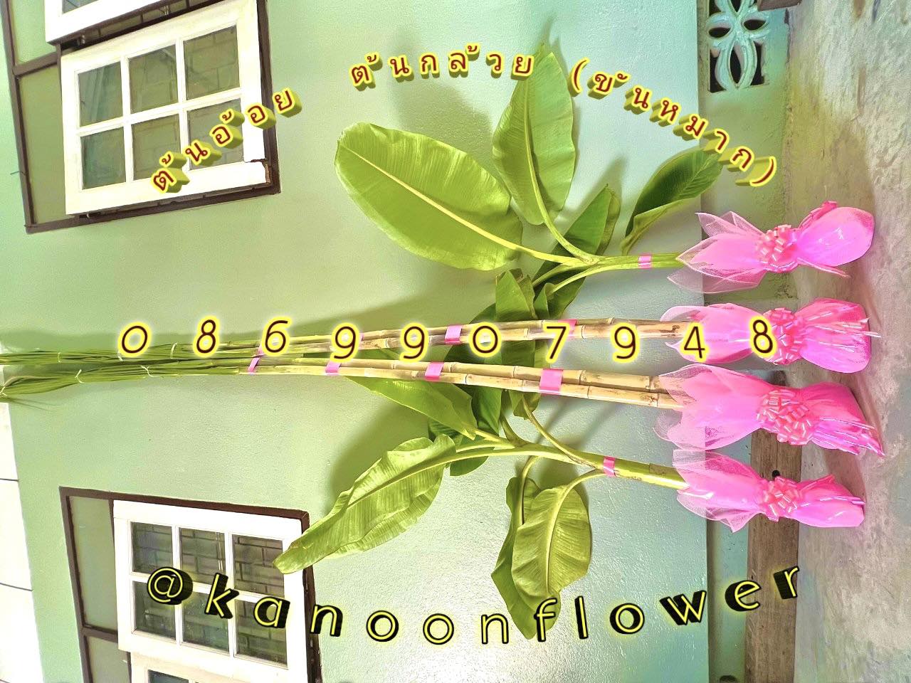 ต้นอ้อย ต้นกล้วย (ขันหมาก) (ทรงเครื่อง)