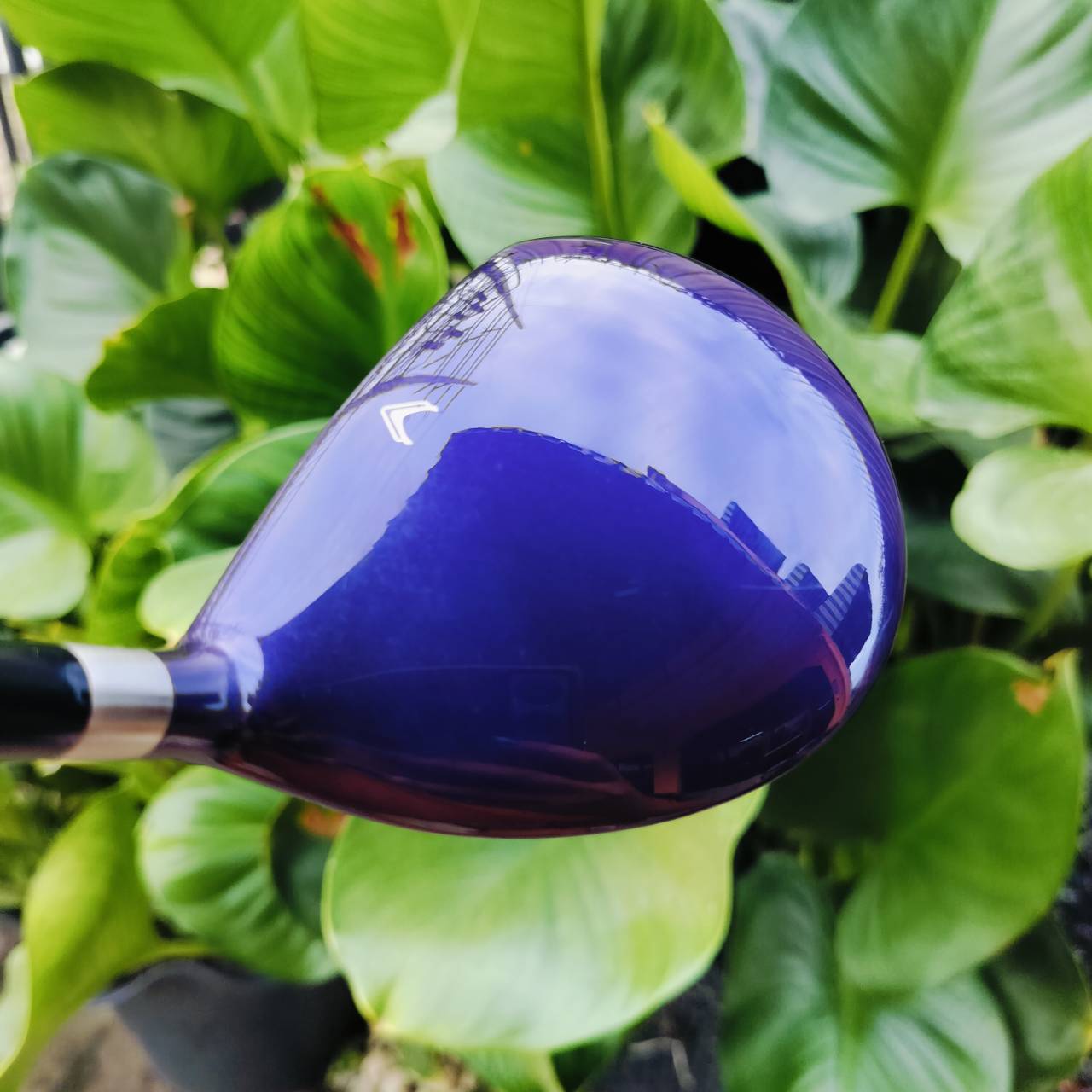 *** ไม้กอล์ฟสำหรับผู้หญิง *** FW5 MIZUNO EFIL 7 ก้าน FLEX LADY ออกแบบมาเพื่อ คุณผู้หญิงเอเชียโดยเฉพาะ เบามาก ไม้กอล์ฟพรีเมี่ยมมือสอง ของแท้ By NakaraLuxurious