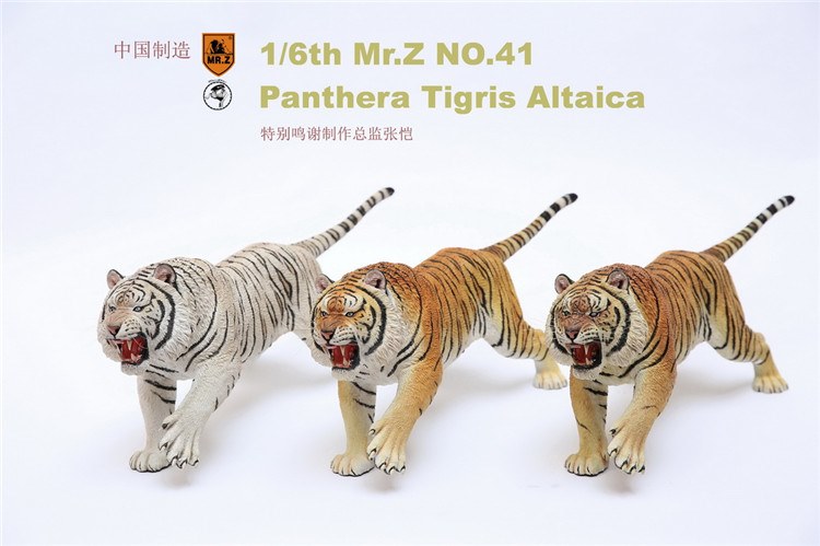[สั่งจอง]Mr.Z Animal Model 1/6 Mr.Z041-PTA001/2/3 Panthera Tigris Altaica (all 3 colors)