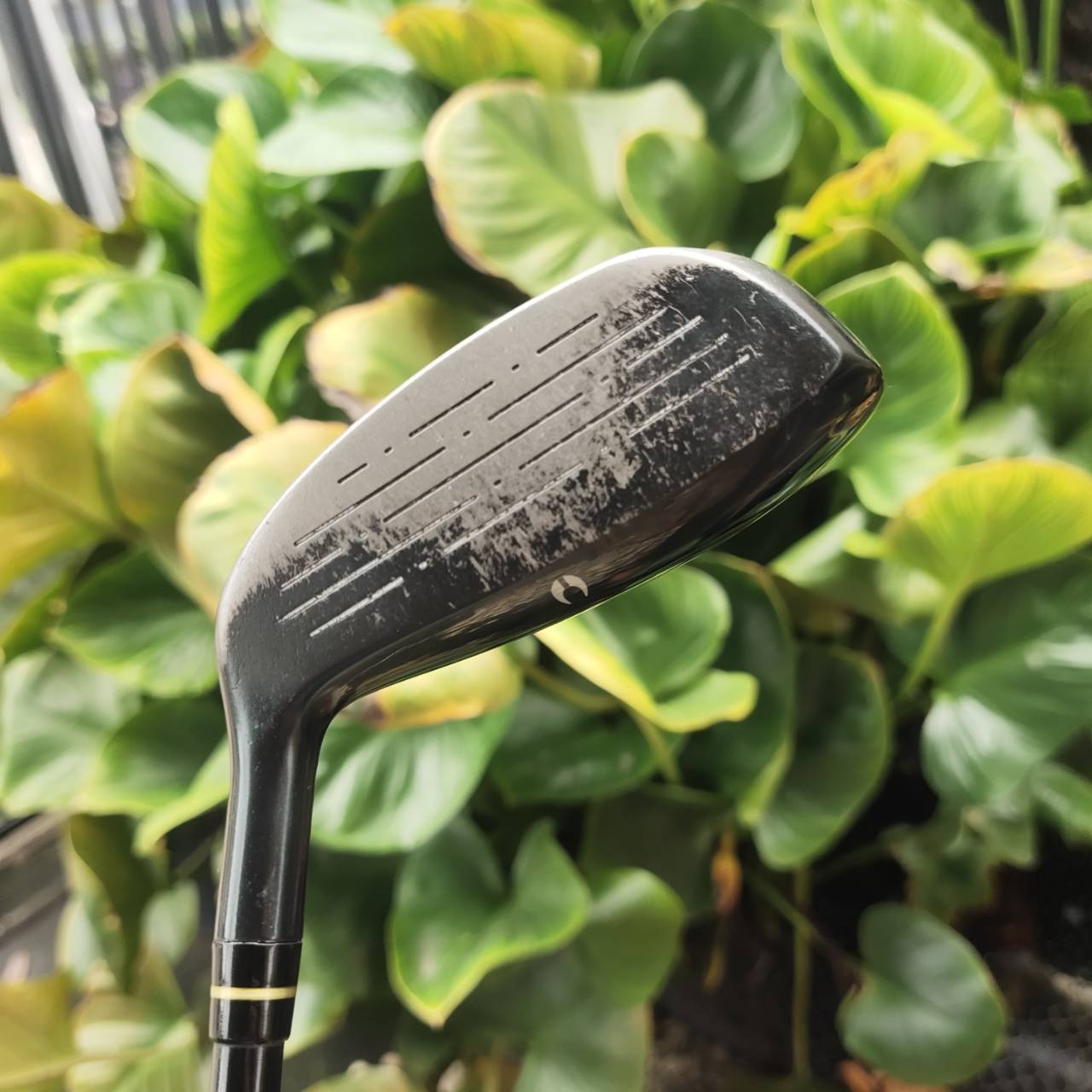 S-YARD T.302 FORGED U21 ตีง่าย หน้าเด้ง สายญี่ปุ่นต้องมี! วัสดุหัวไม้ FORGED TITANIUM