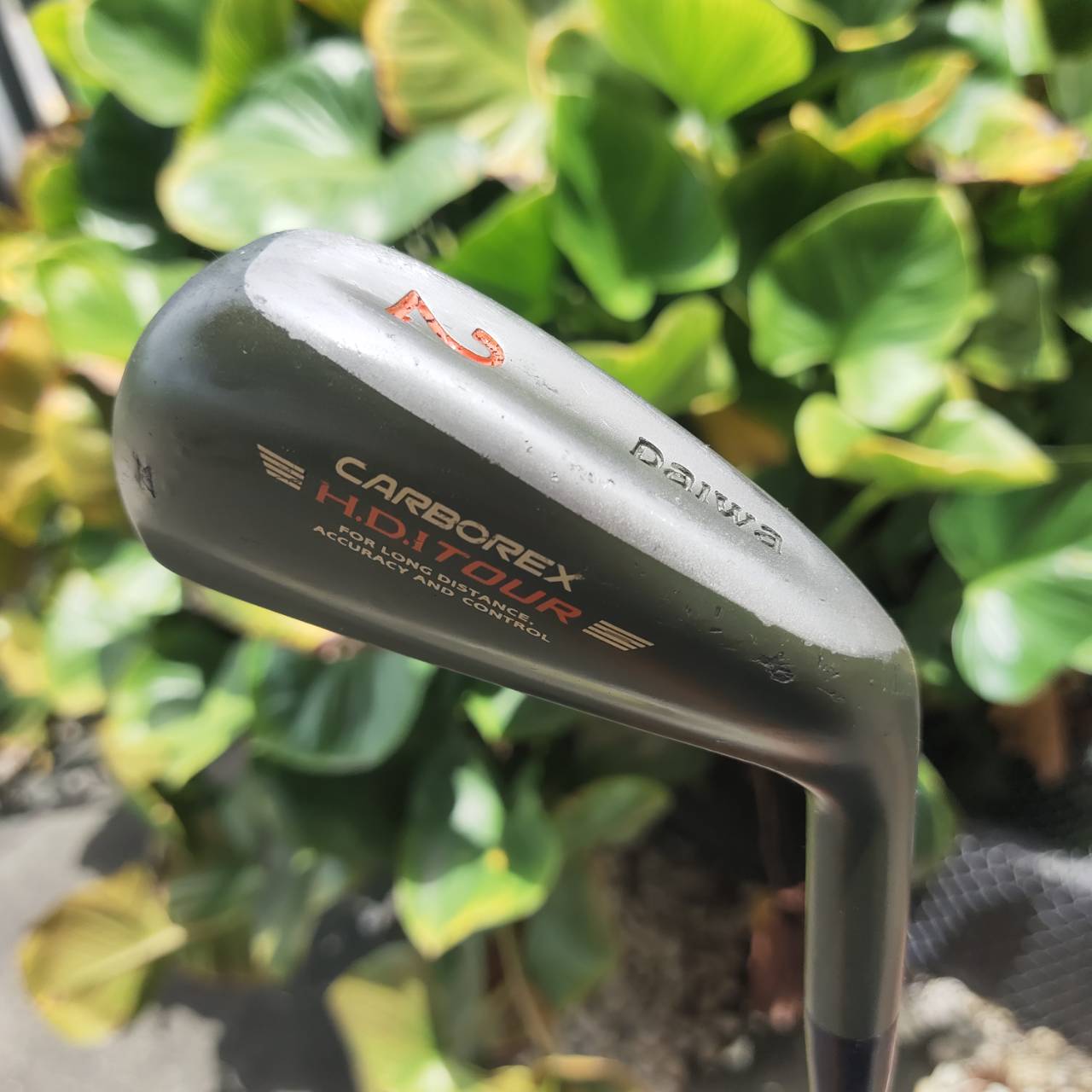 เหล็ก 2 DAIWA CARBOREX ตีง่ายมากๆ หน้าไม้เป็นคาร์บอน เคฟล่า ตีทั้งเด้ง ทั้งสปินสูงจัด!!!