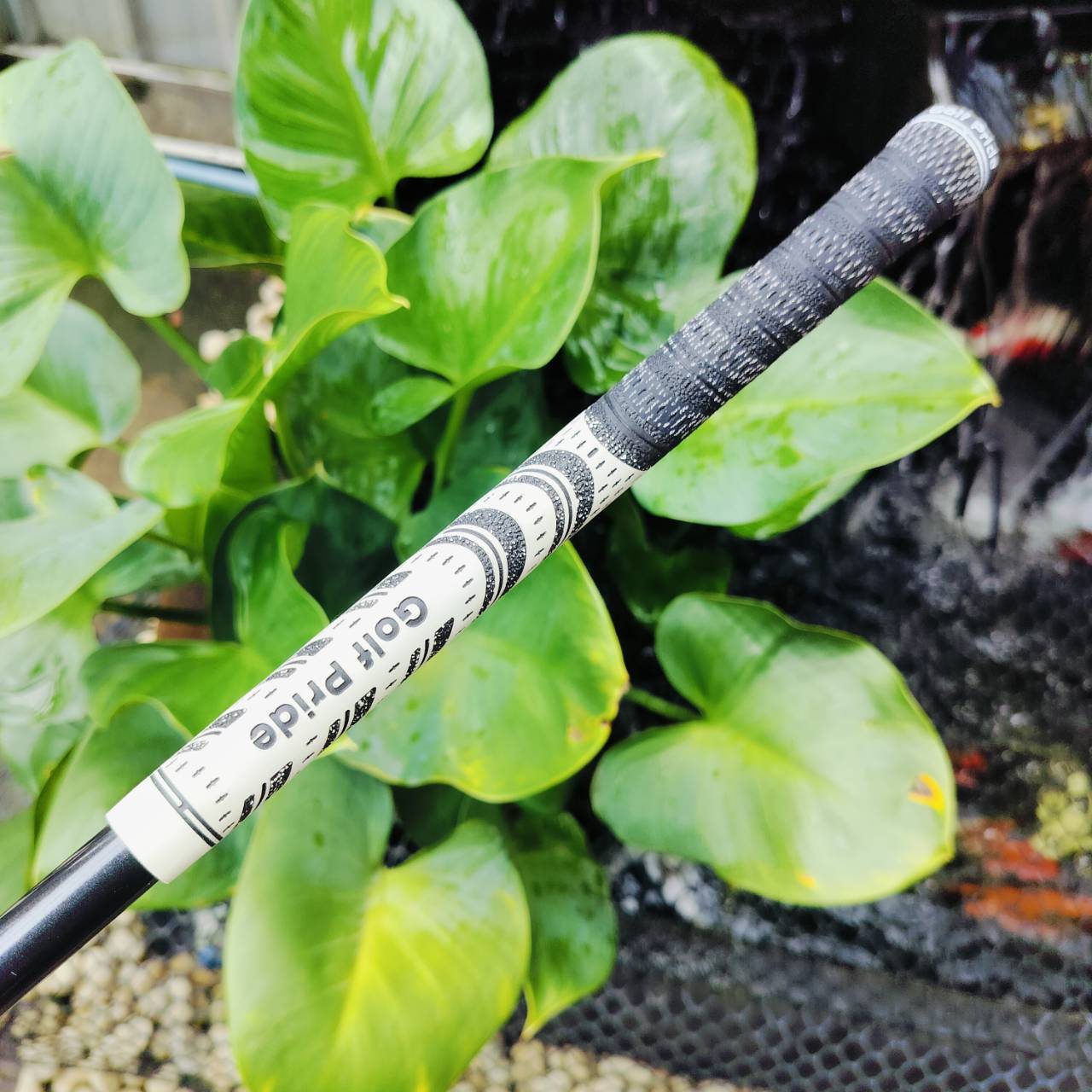 ชุดเหล็กตีไกลมากรุ่นดังที่สุด MARUMAN M1 MILLED BACK องศาปิดกว่าปกติ แต่ด้วยการวาง จุด CG ที่สมบูรณ์แบบ ทำให้ตีง่ายมาก ไม้กอล์ฟพรีเมี่ยมมือสอง ของแท้ By NakaraLuxurious