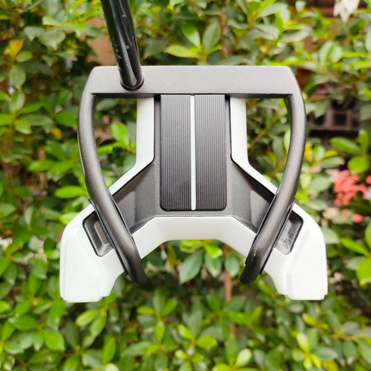 PUTTER TAYLORMADE DADDY LONG LEGS ก้าน DESIGN GROUP ความยาว 35 นิ้ว
