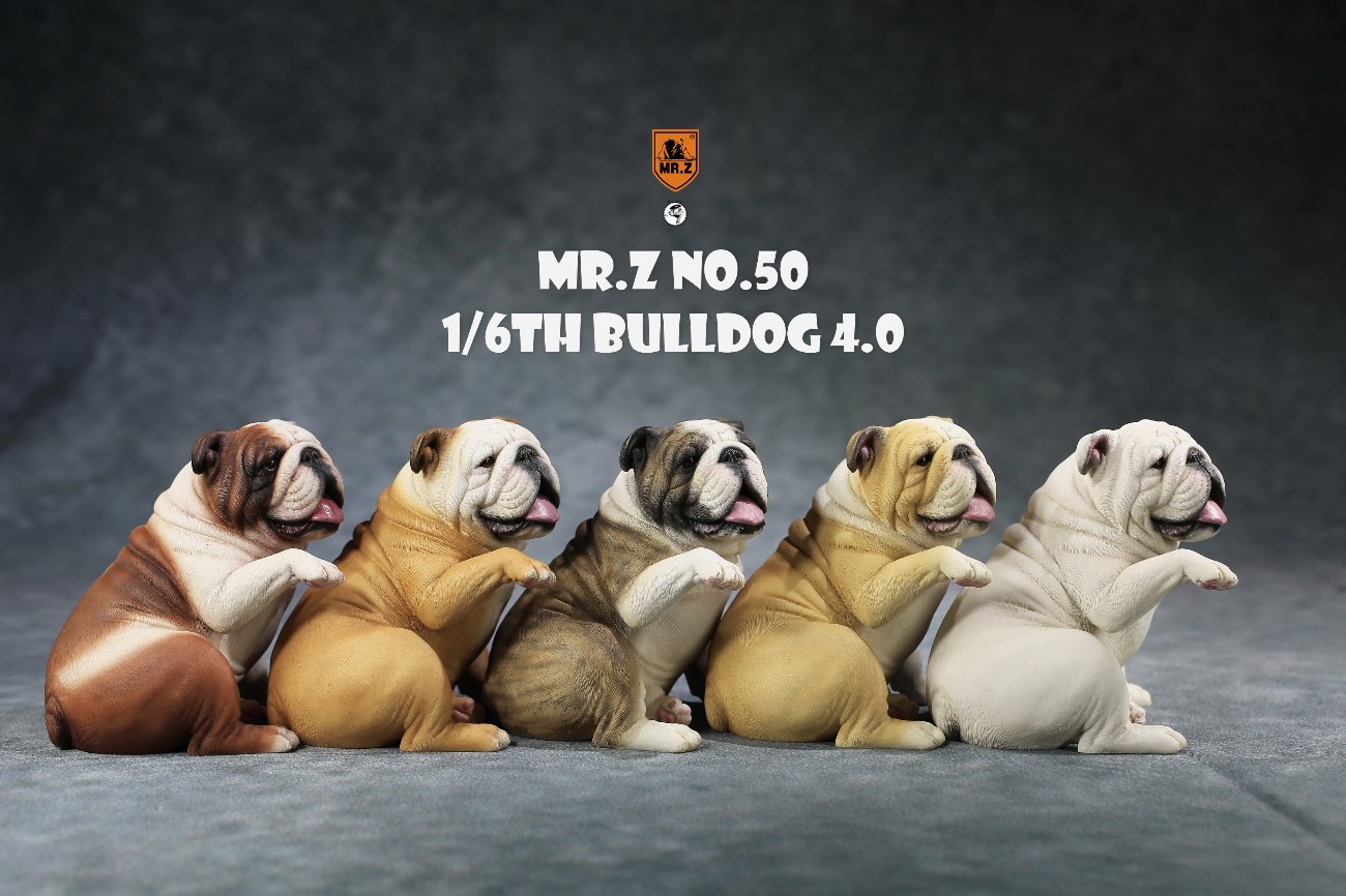 [สั่งจอง]MR.Z Mr.Z050 1/6th Bulldog V4.0 (all 5 colors)