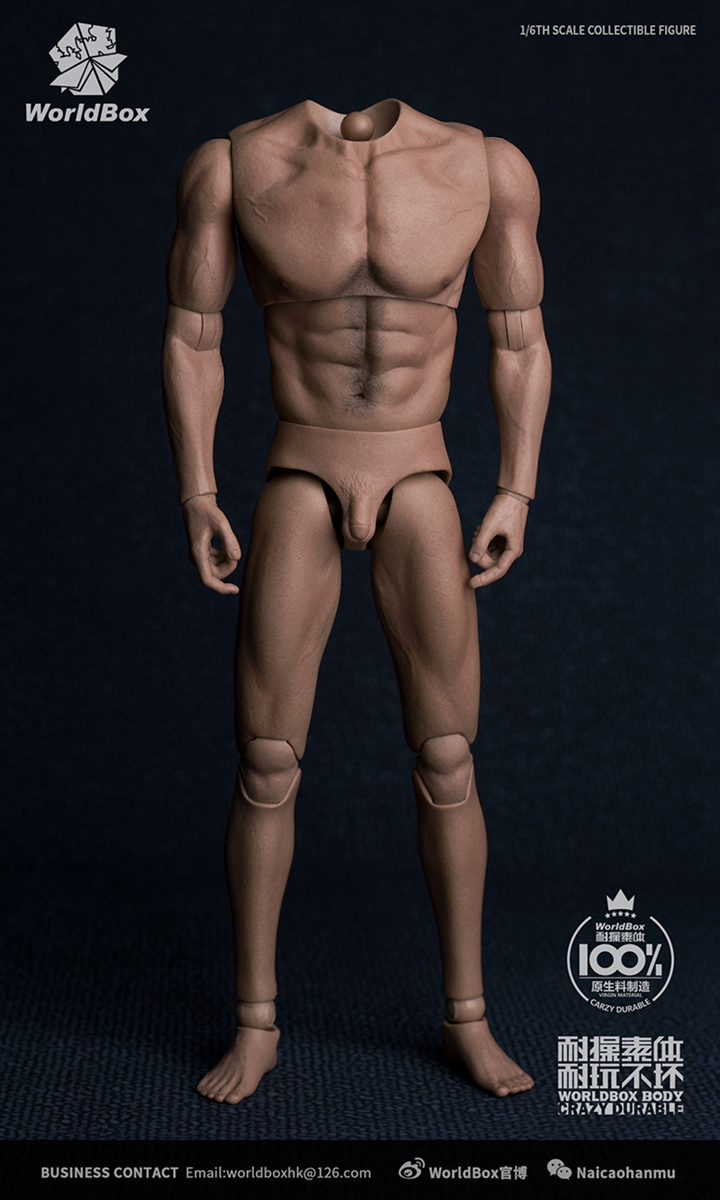 [สั่งจอง]WorldBox AT017 Features of the1/6th scale body universal body to head