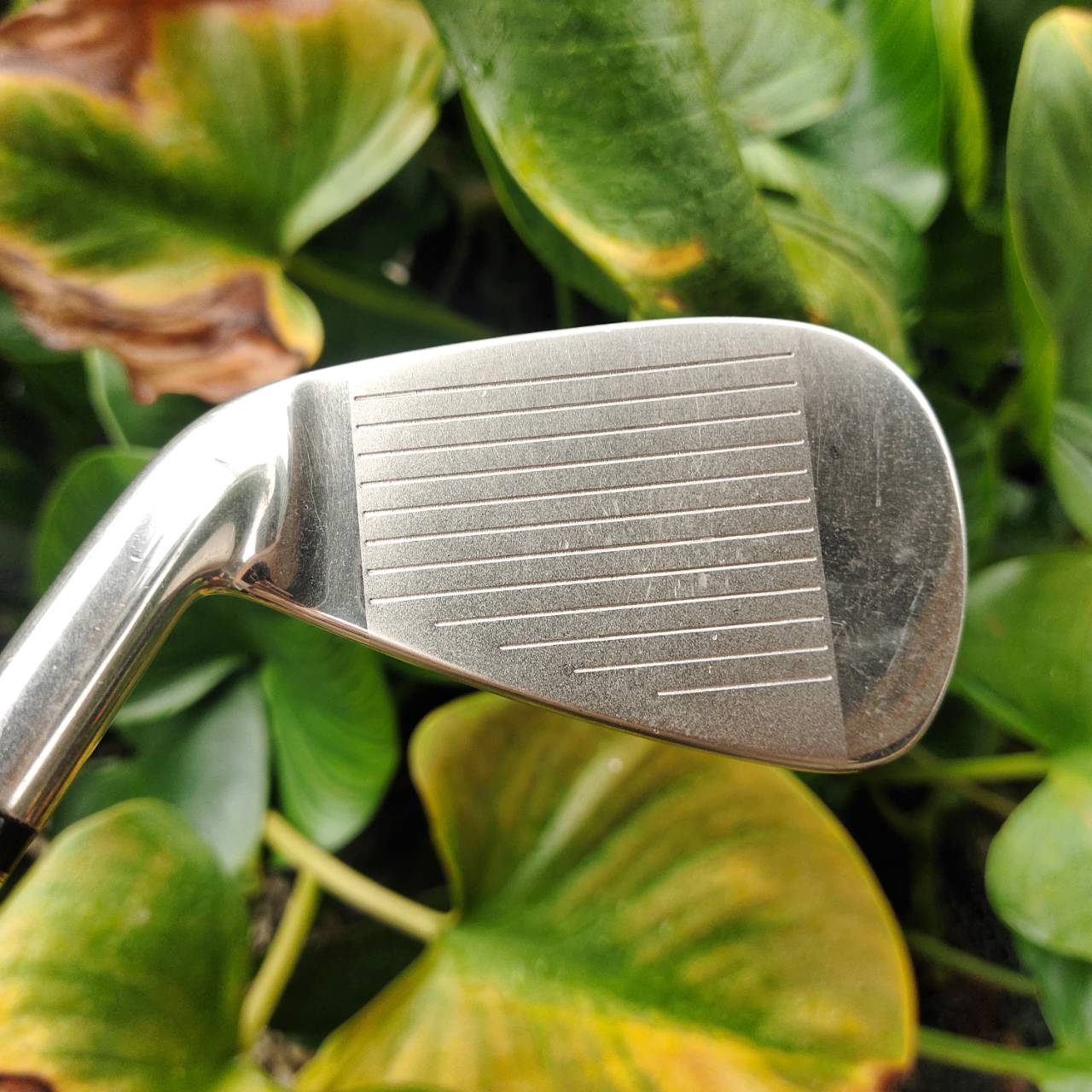 ชุดเหล็กหน้าเด้งมาก!!! KASCO INDEED MARAGING!!! ชุดพรีเมี่ยมสูงสุดของ KASCO ของใหม่ราคาแพงมากๆๆ ญี่ปุ่นแท้ หน้า MARAGING เด้งสุดขีด ตีไกลสุดขั้ว ตีง่ายก้านเบา ไม้กอล์ฟพรีเมี่ยมญี่ปุ่นมือสอง