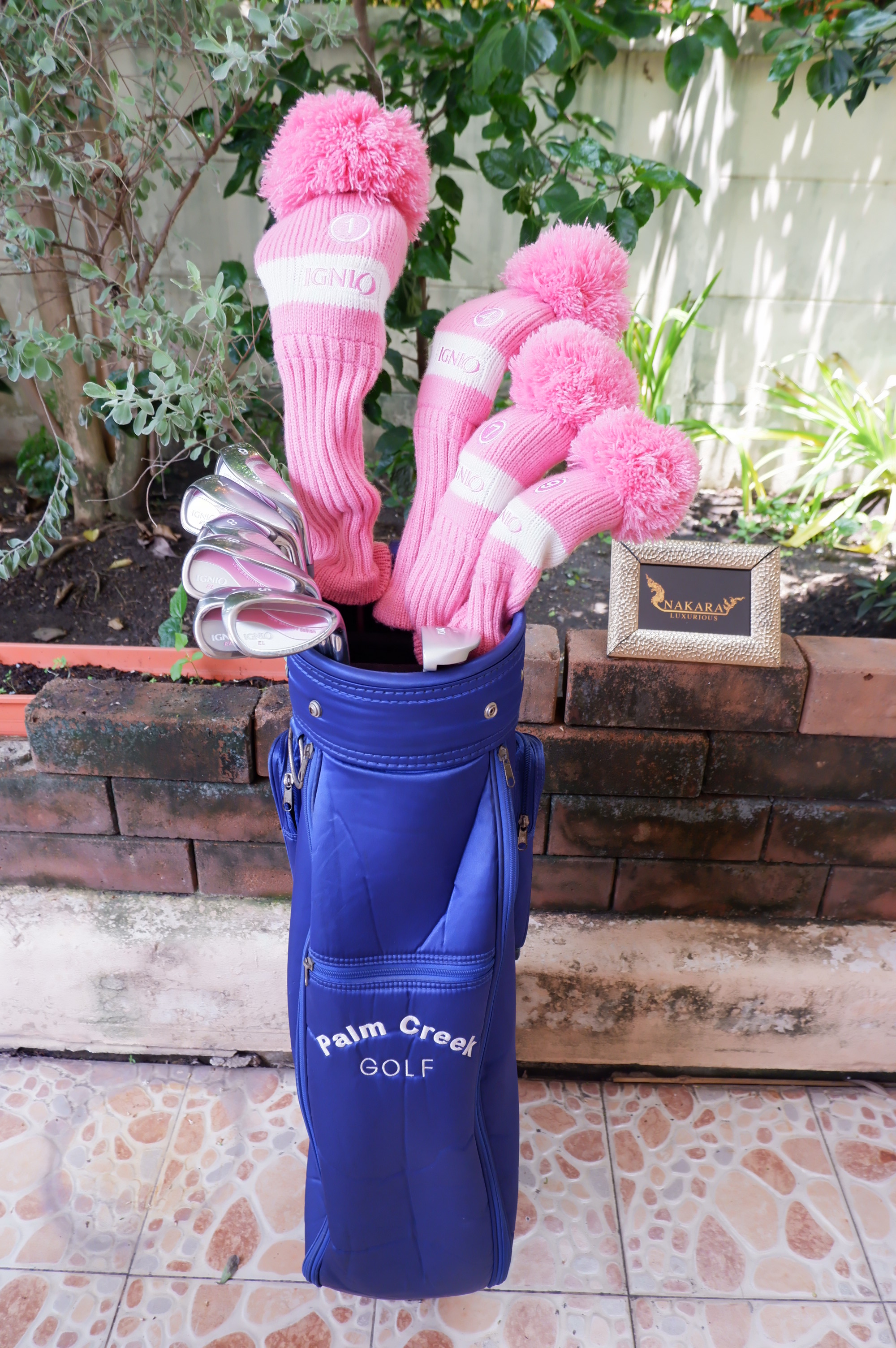 Full Set IGNIO FIRES YOU UP. EL