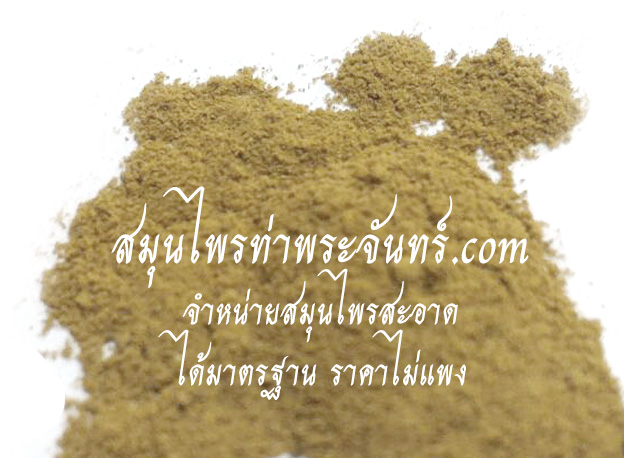 Mangosteen Powder