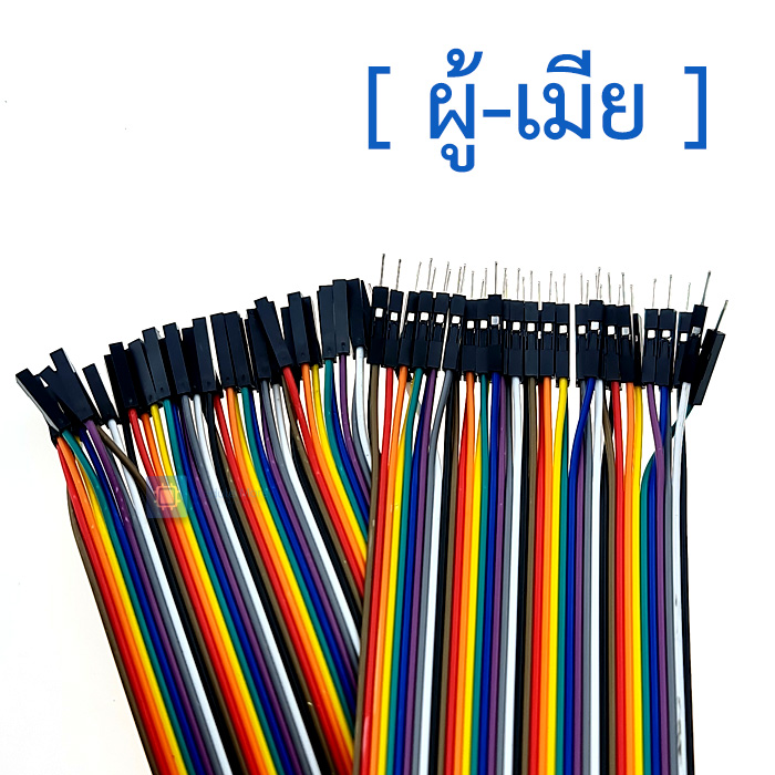 Dupont Jumper 40P color wire 31cm pure copper [male-male, male-female, female-female]