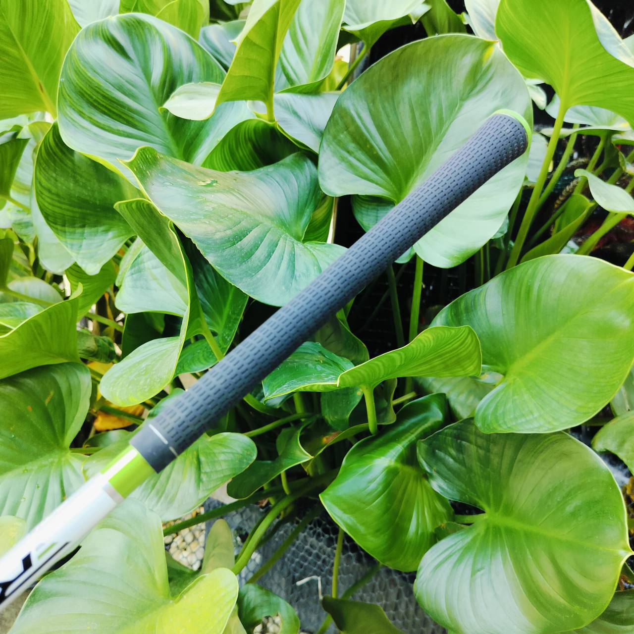 FW 5 TAYLORMADE RBZ สภาพสวย ก้าน SPEED ENGINEERED FLEX S หัวตีง่ายและเด้งมากด้วยร่องหน้าไม้พิเศษ ไม้กอล์ฟพรีเมี่ยมมือสอง ของแท้ By NakaraLuxurious