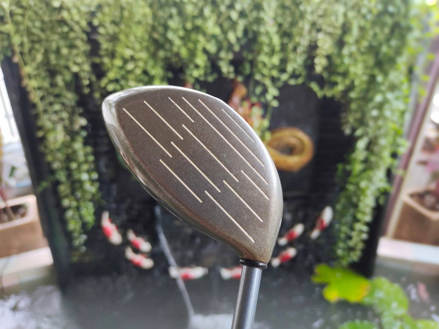 Driver Callaway GREAT