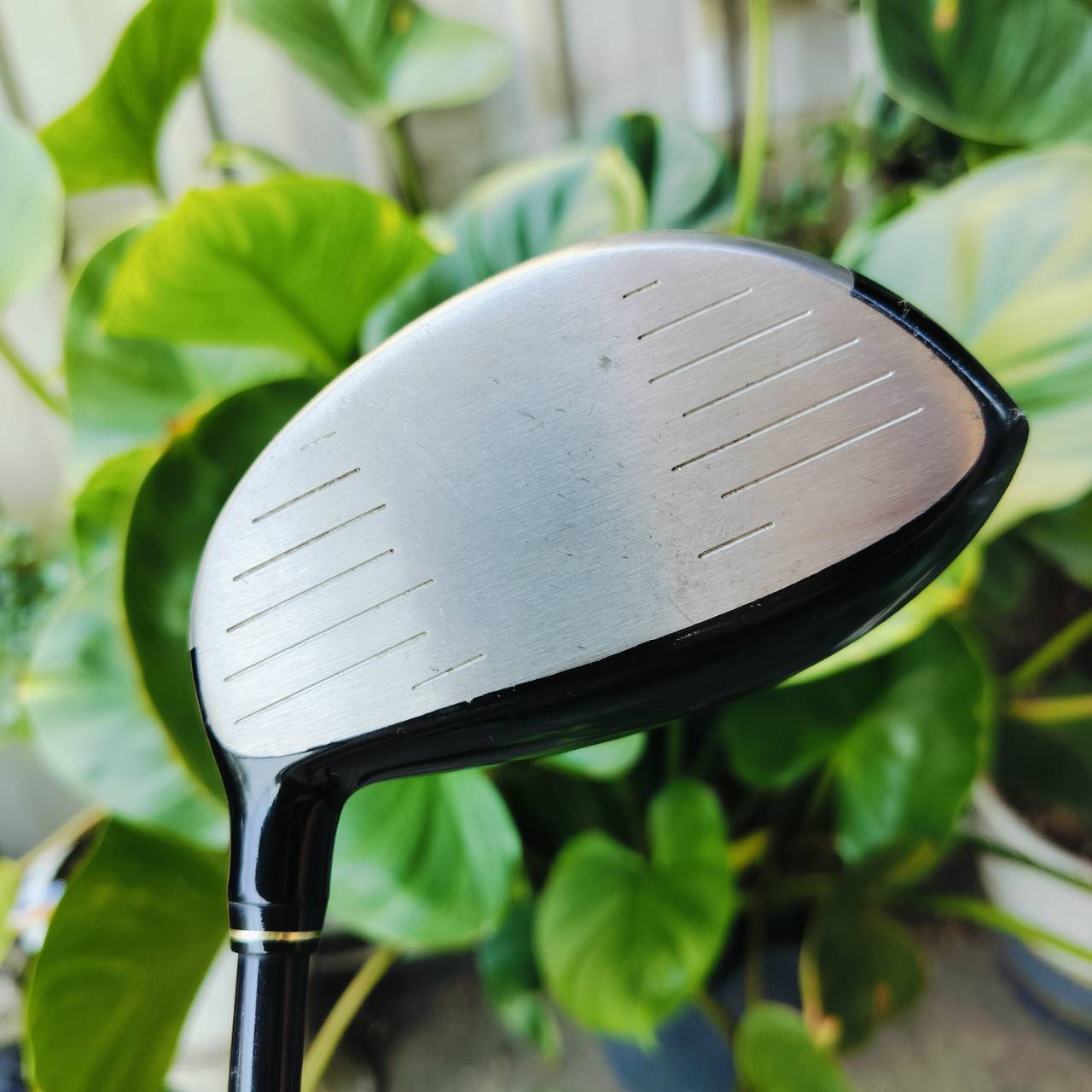 DRIVER SRIXON W-403 AD องศา 11.5 ก้าน SRIXON SV-3000 FLEX S วัสดุเบต้าไทเทเนี่ยม พรีเมี่ยมญี่ปุ่น ไม้กอล์ฟพรีเมี่ยมมือสอง ของแท้ By NakaraLuxurious