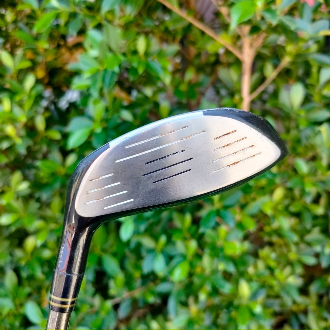 FW11 TOP LANKING T.L.F II ก้าน T.L.F II องศา 27 เล่นระยะไม่ไกล แต่ตีง่ายกว่าเหล็กยาวมาก คนไม่ชอบเหล็กยาวต้องนรีบจัดด่วน!!! .