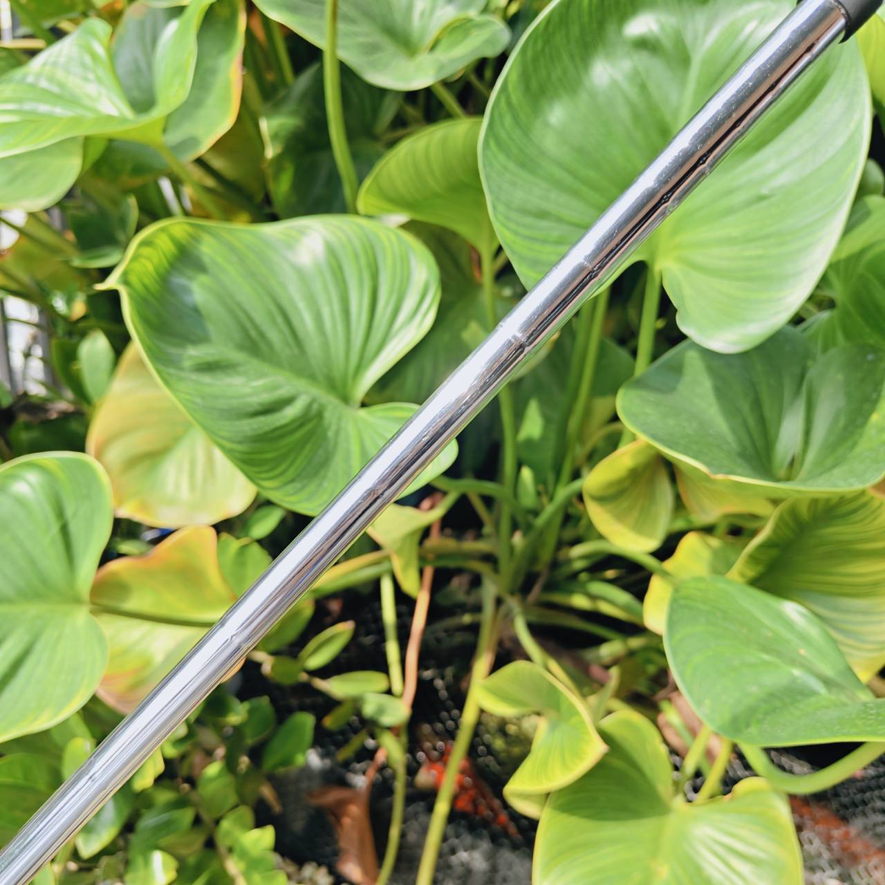 WEDGE PING TOUR-W – 60° | Bounce 10° ความแม่นยำรอบกรีนที่คุณต้องลอง!