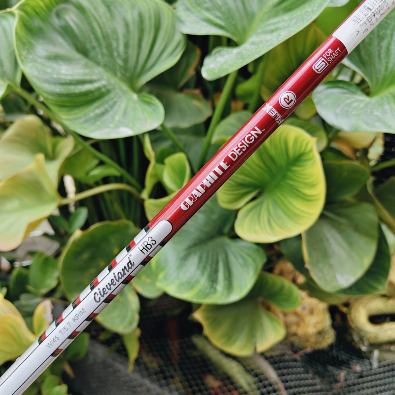 Cleveland Hi Bore XLS Driver ออกแบบกระดองพิเศษเพื่อพลังแห่งความแม่นยำและระยะทางที่มั่นใจ