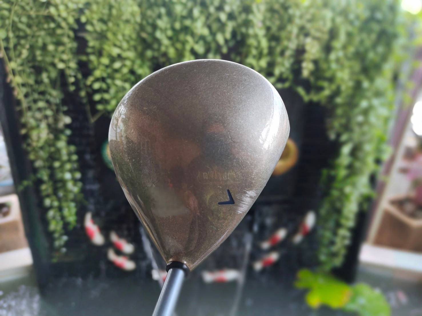 Driver Callaway GREAT